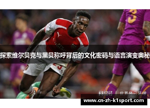 探索维尔贝克与黑贝称呼背后的文化密码与语言演变奥秘 探索维尔贝克与黑贝称呼背后的文化密码与语言演变奥秘