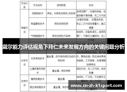 戴尔能力评估视角下拜仁未来发展方向的关键问题分析 戴尔能力评估视角下拜仁未来发展方向的关键问题分析